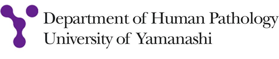 Department of Human Pathology, University of Yamanashi